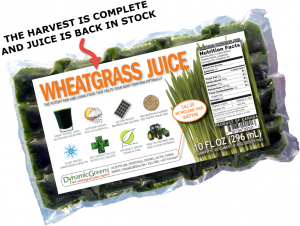 wheatgrass-back-in-stock