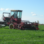 Stem Family Wheatgrass Farm