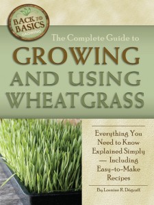 Growing Using Wheatgrass