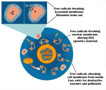 Free-Radicals