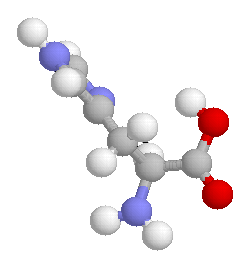 amino_acid