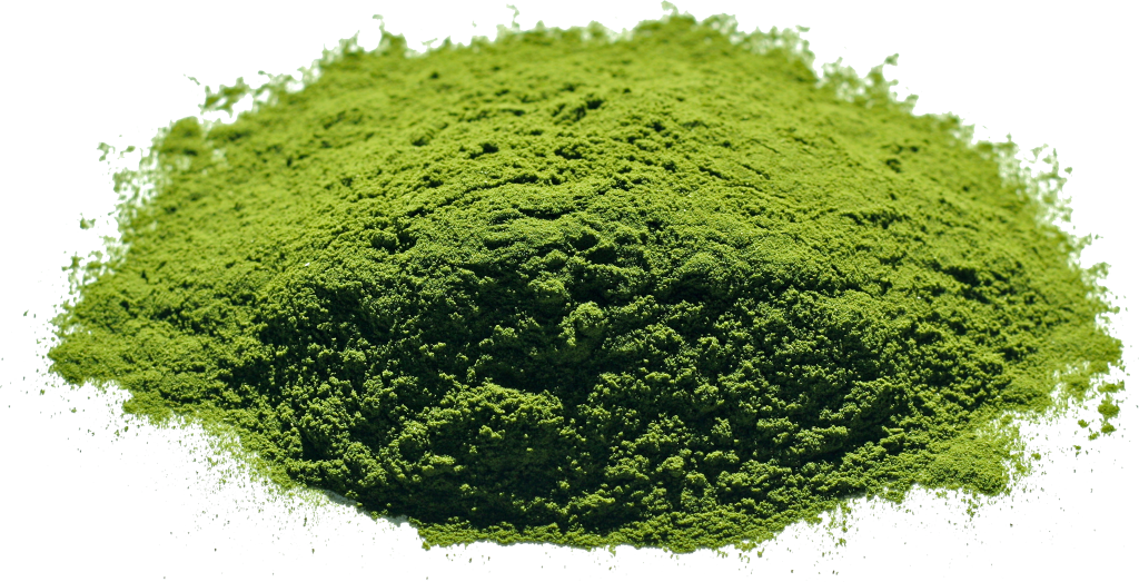 Wheatgrass Powder vs. Wheatgrass Juice