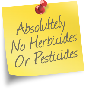 no-herbicides-or-pesticides