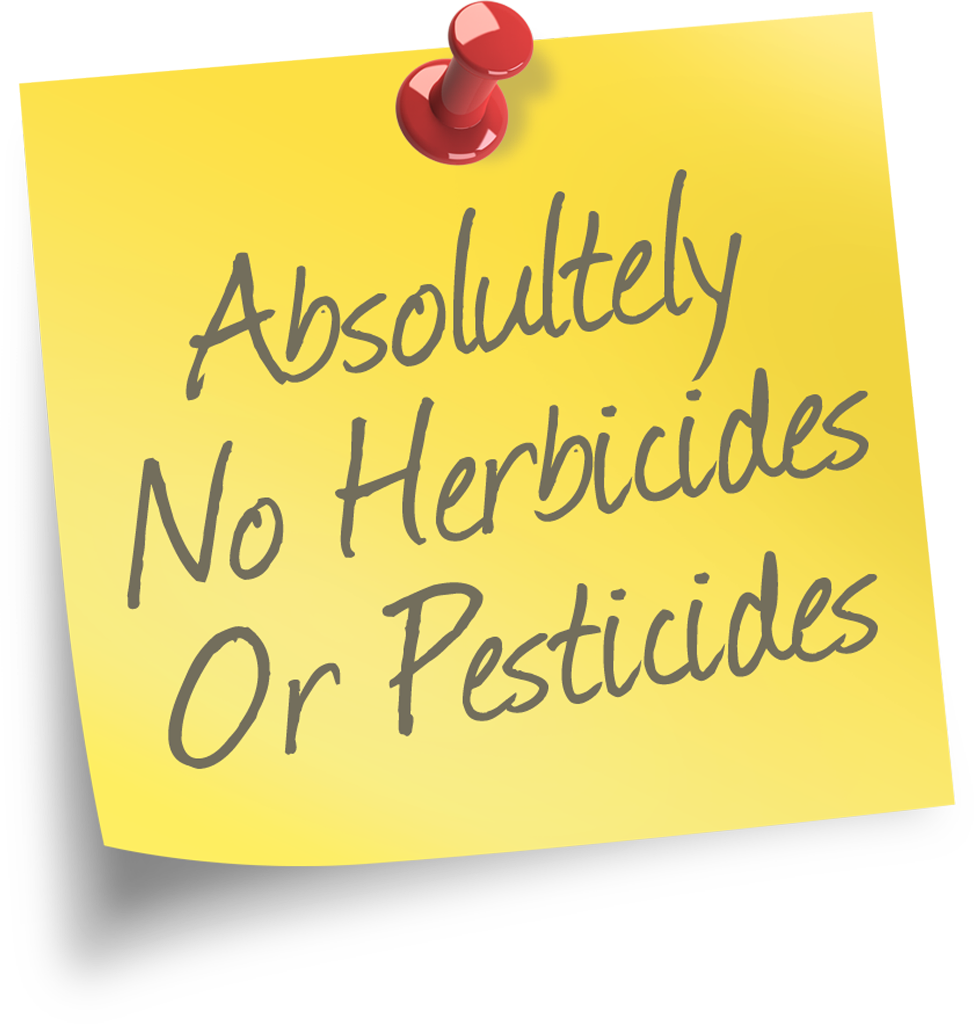 no-herbicides-or-pesticides