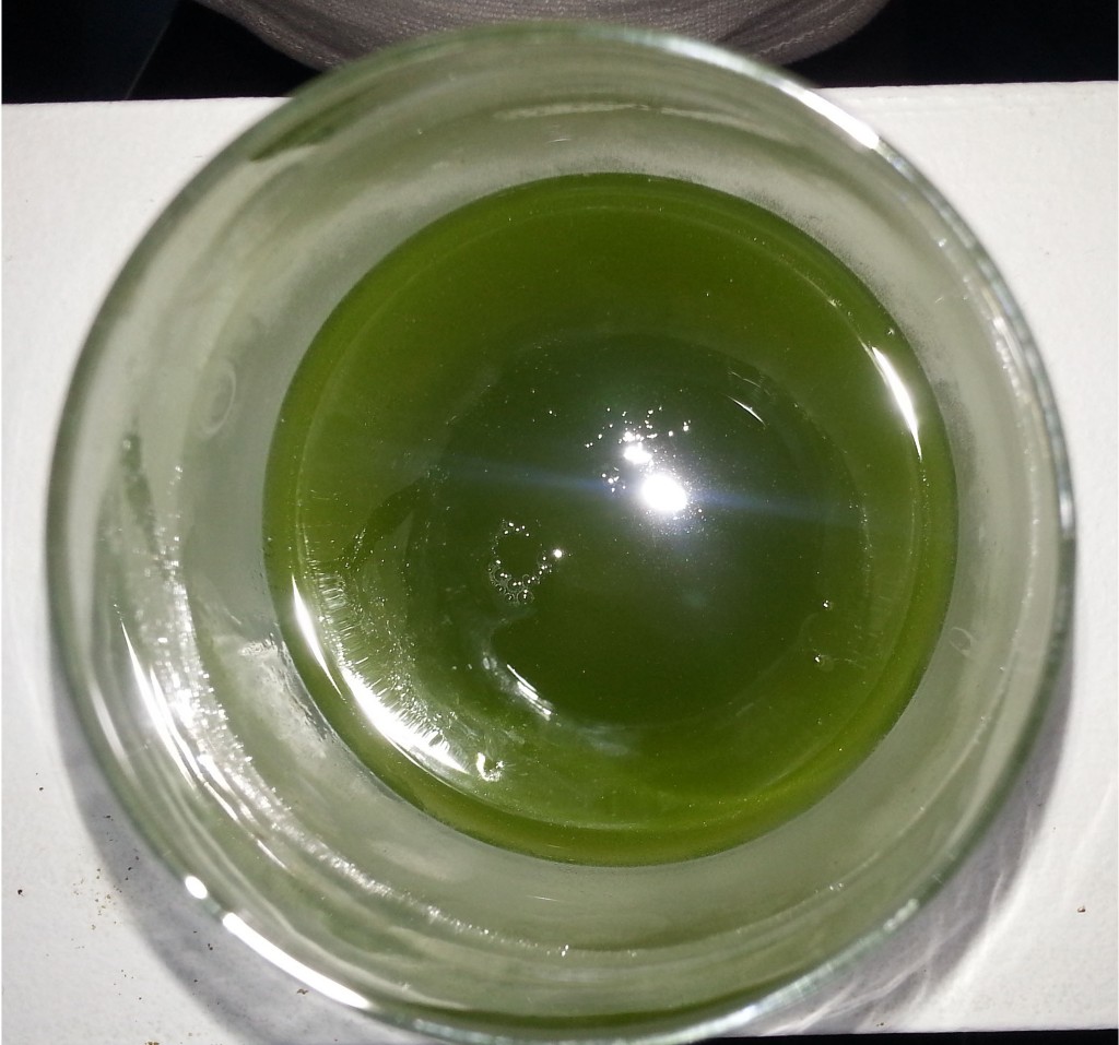 other-frozen-wheatgrass-jui